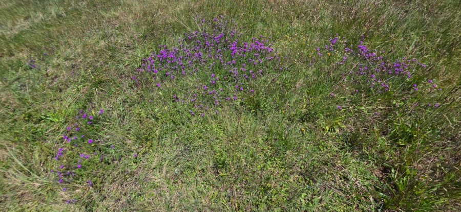 0 Bedroom Property for Sale in Ventersdorp North West